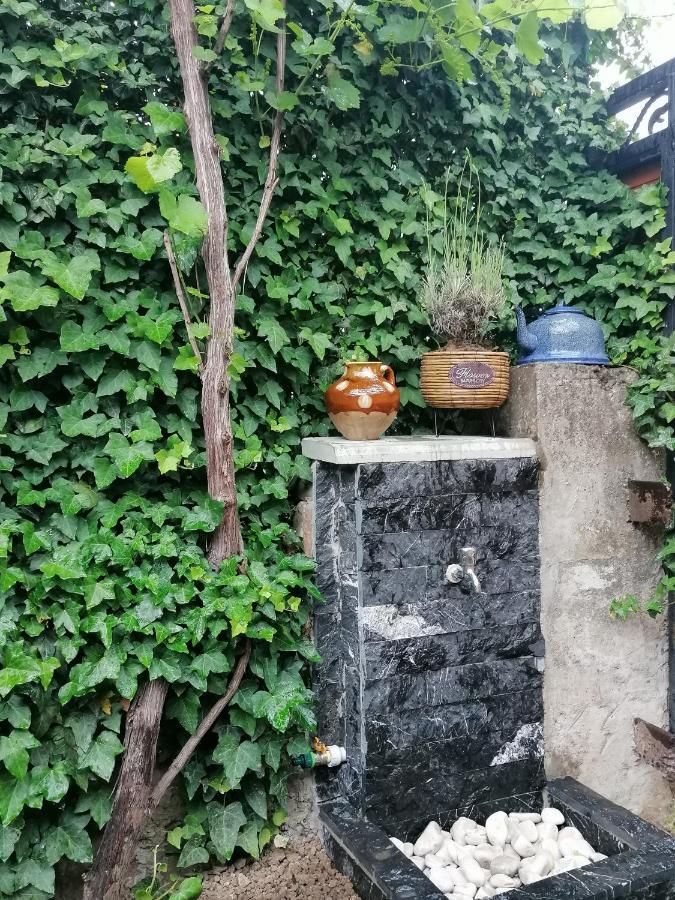 Autograph Boutique Home 9 Bordzjomi Buitenkant foto